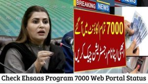 How To Check Ehsaas Program 7000 Web Portal Status 2024 By CNIC?