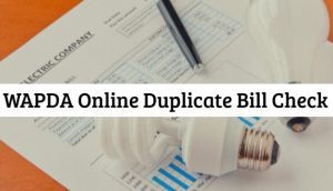 How To Do WAPDA Online Duplicate Bill Check 2022?