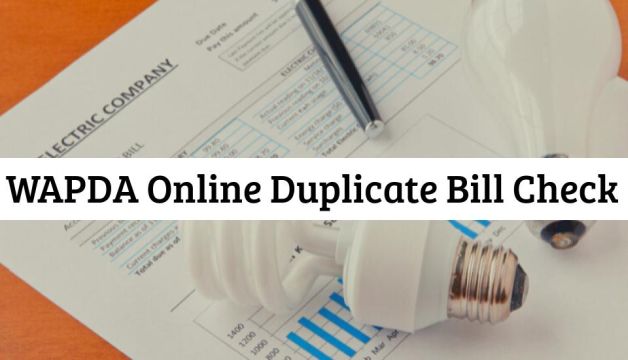 How To Do WAPDA Online Duplicate Bill Check 2023?