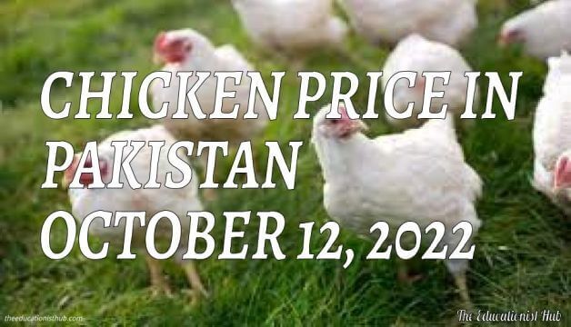 Latest Chicken Price in Pakistan Today 12th October 2022 Per Kg