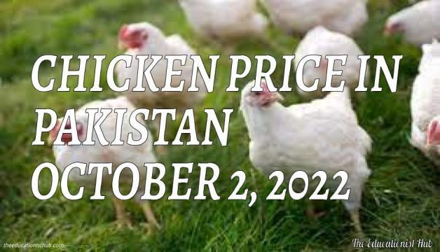 Latest Chicken Price in Pakistan Today 2nd October 2022 Per Kg