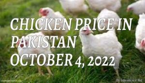 Latest Chicken Price in Pakistan Today 4th October 2022 Per Kg