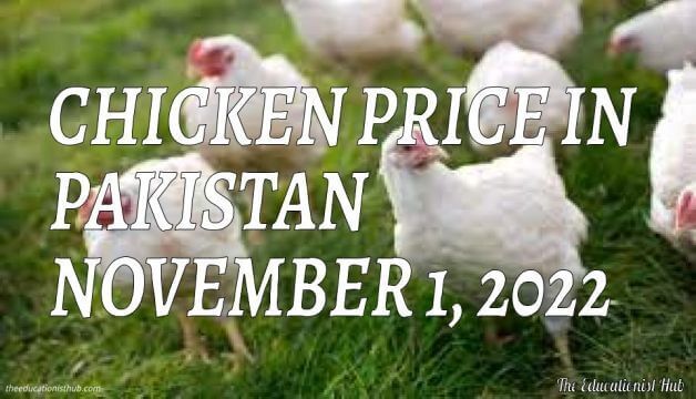 Chicken Price in Pakistan Today 1st November 2022 Per Kg