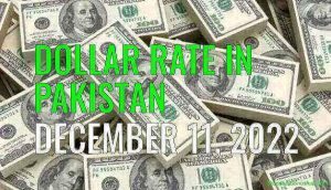Dollar rate in Pakistan today 11th December 2022