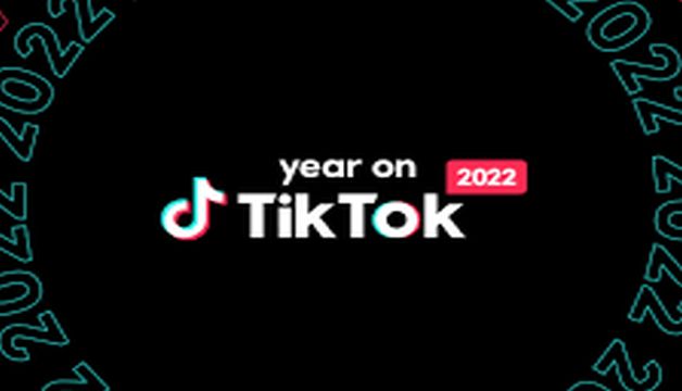 Top 5 TikTok Videos Of Pakistan in 2022