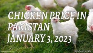 Chicken Price in Pakistan Today 3rd January 2023 Per Kg