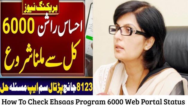 How To Check Ehsaas Program 6000 Web Portal Status 2024 By CNIC?