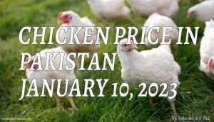 Latest Chicken Price in Pakistan Today 10th January 2023 Per Kg