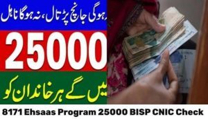 8171 Ehsaas Program 25000 BISP CNIC Check Online 2024