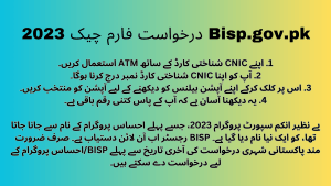 Bisp.gov.pk Application Form Check