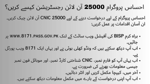 How To Do Ehsaas Program 25000 Online Registration?