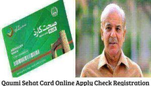 Qaumi Sehat Card Online Apply Check Registration 2023