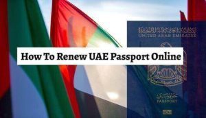 UAE company renewal services