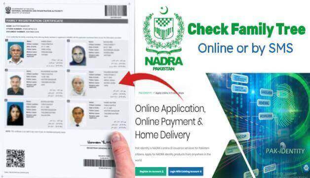 How to Check NADRA Family Tree Online or by SMS Pakistan