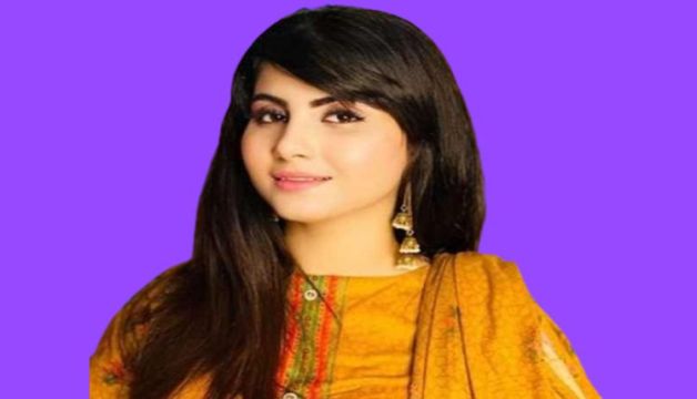 Who is Sehar Shinwari? Biography, Wiki