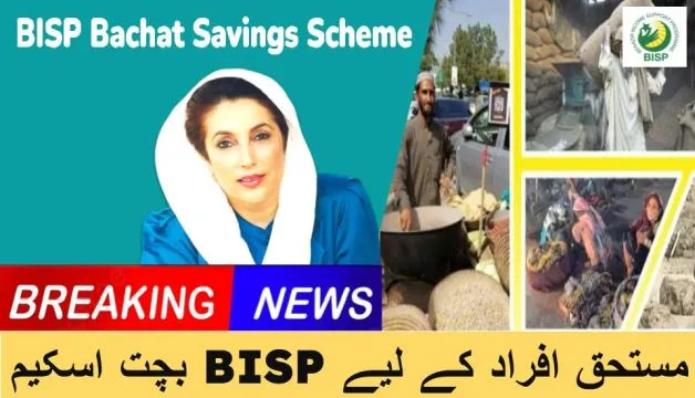 BISP Bachat Savings Scheme Online Registration