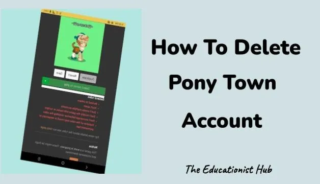 How to Delete A Pony Town Account