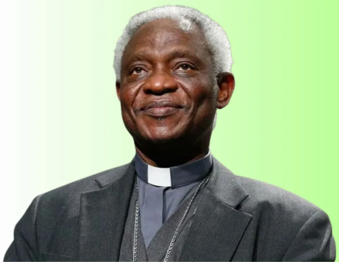 Peter Turkson Age, Height, Wife, Family, Net Worth, Biography & More