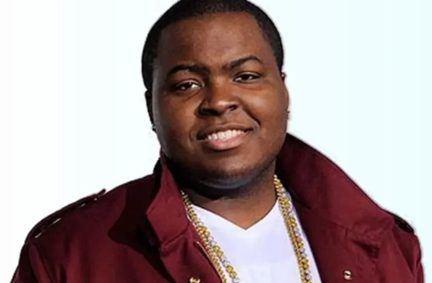 Sean Kingston singer