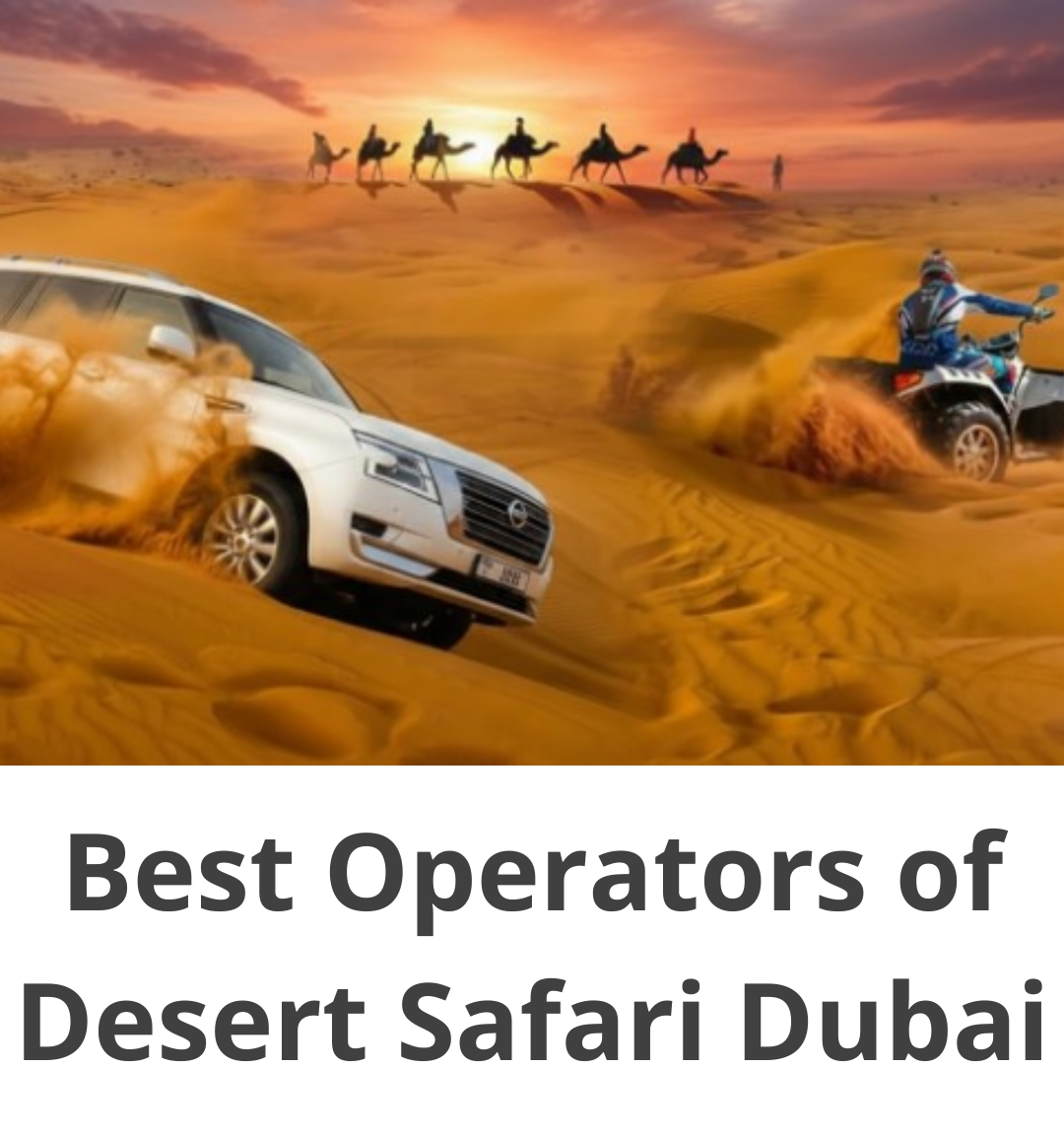 Desert Safari Dubai: 10 Best Operators and Packages in 2026